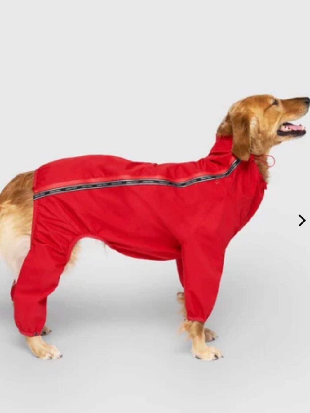NWT Canada Pooch Slush Suit, Red, Size 24